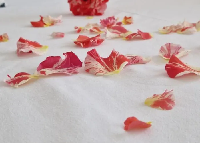 Casa Del Mar 3* 프리모르스코