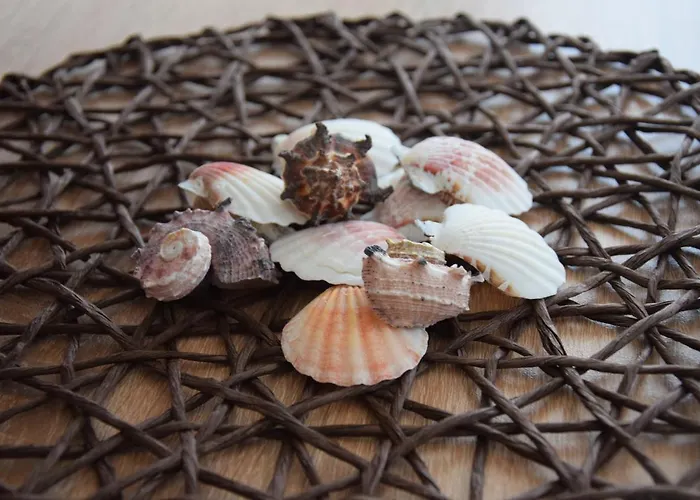 게스트하우스 Casa Del Mar