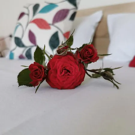 Vendégház Casa Del Mar Primorszko