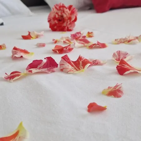 Casa Del Mar 3* Primorszko