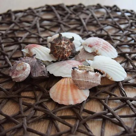 Vendégház Casa Del Mar